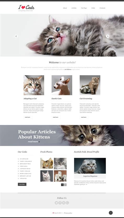 cool cats website.